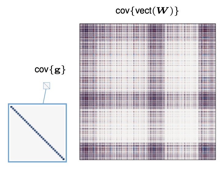 Structured covariance of weight matrix induced by Walsh-Hadamard factorization
